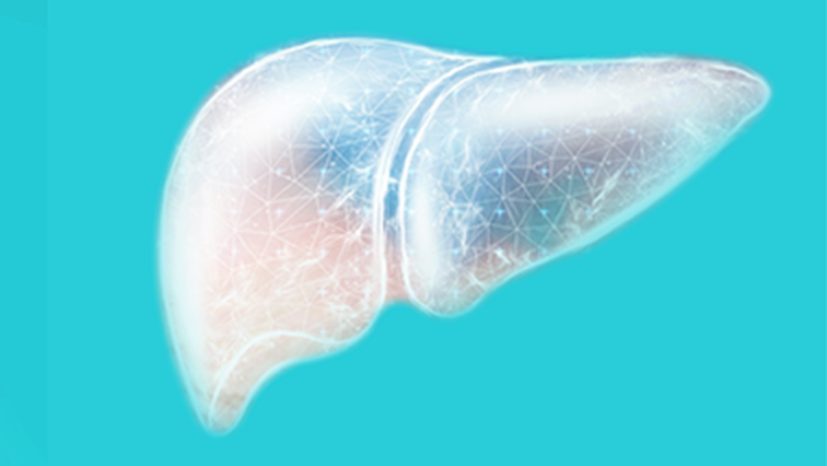 Chronic Hepatitis B (CHB)