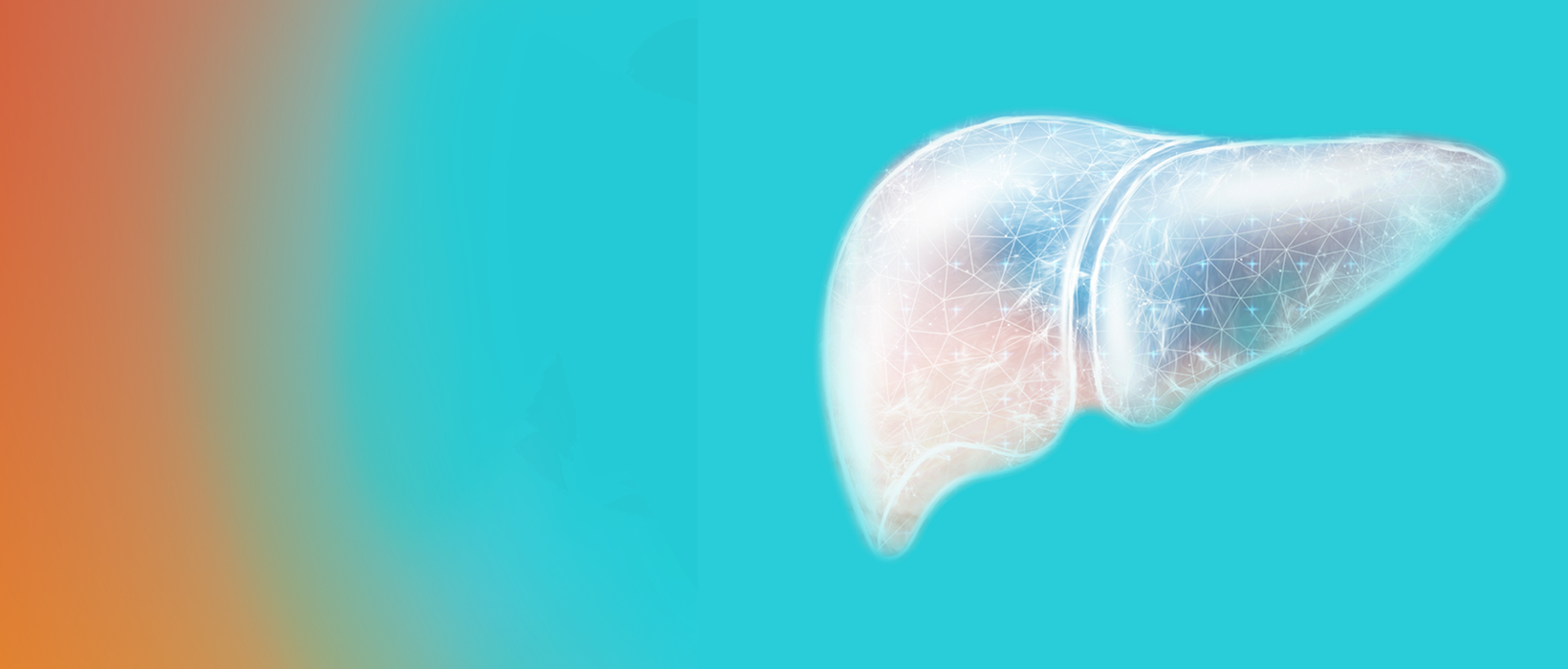 Pink cells on black background