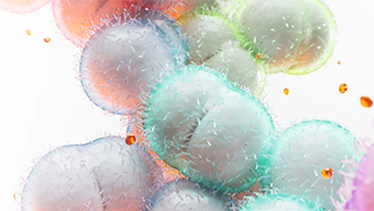 Invasive Meningococcal Disease