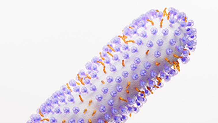 Respiratory Syncytial Virus EN