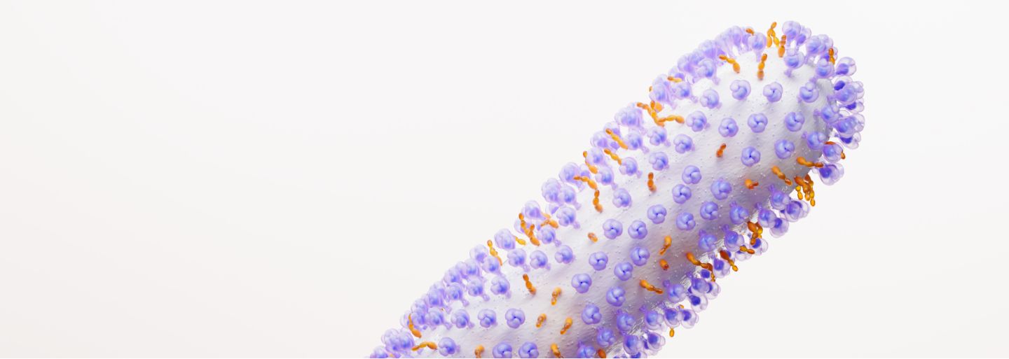 Respiratory Syncytial Virus